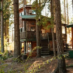 Tree House Tranquil-A-Tree Romantic Escape